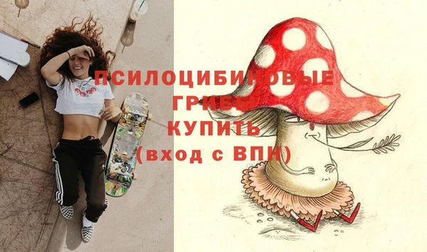 дживик Лагань