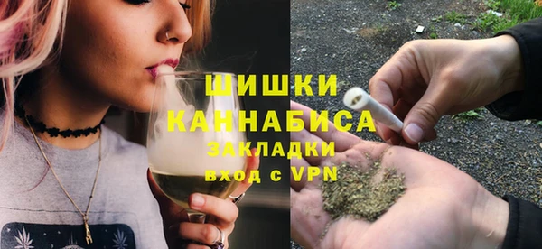индика Пенза
