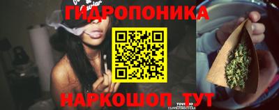 ПСИЛОЦИБИНОВЫЕ ГРИБЫ Будённовск