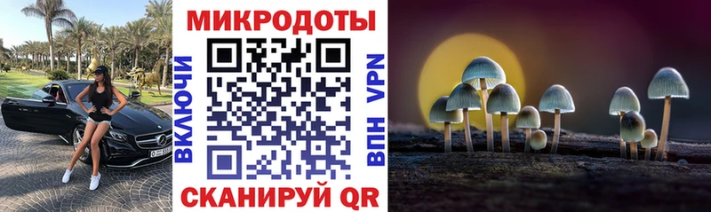 Псилоцибиновые грибы мицелий  закладка  Орск 