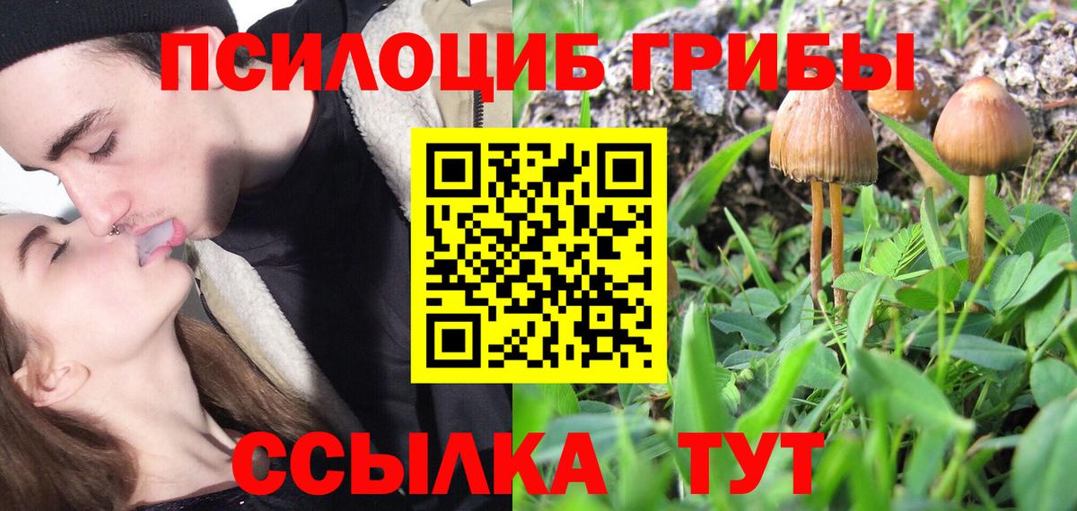 Галлюциногенные грибы Magic Shrooms  Орск  Псилоцибиновые грибы Psilocybe 