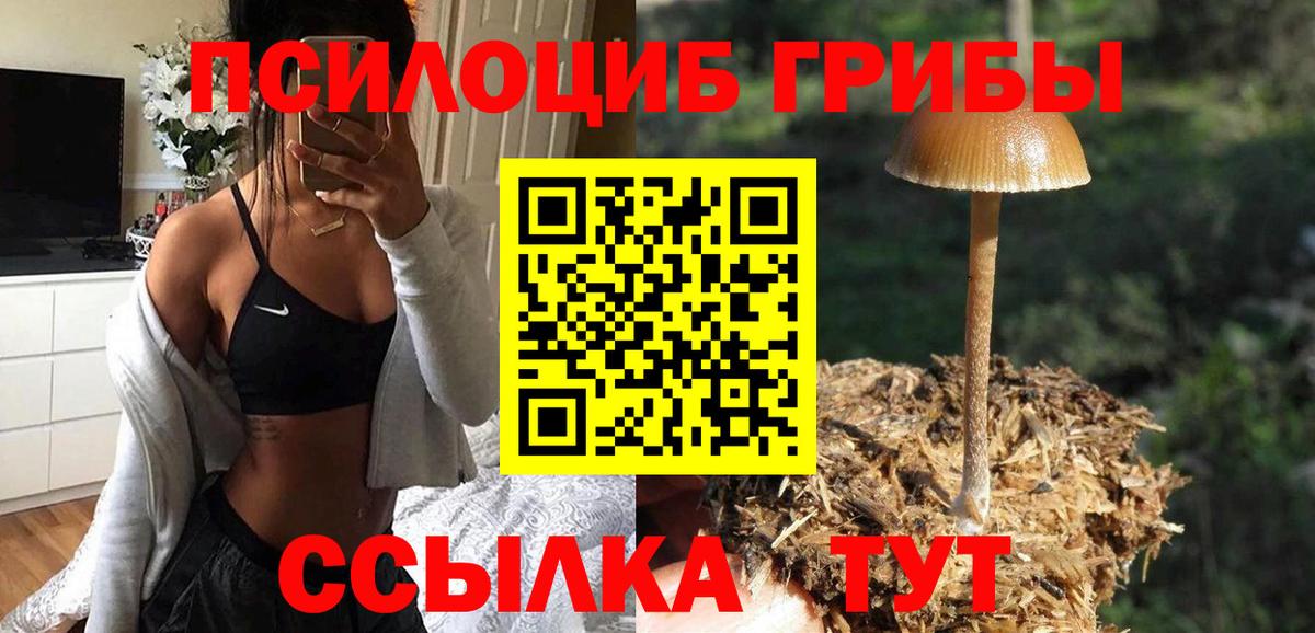 Орск  МАРИХУАНА  Конопля  Меф   Амфетамин   Экстази  ГАШ  КОКАИН  Меф МЯУ МЯУ кристаллы  A PVP СОЛЬ кристаллы  КОКАИН 