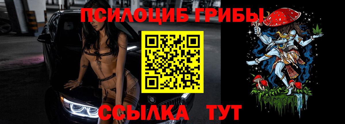 Орск  Галлюциногенные грибы Psilocybine cubensis  Вход с VPN 