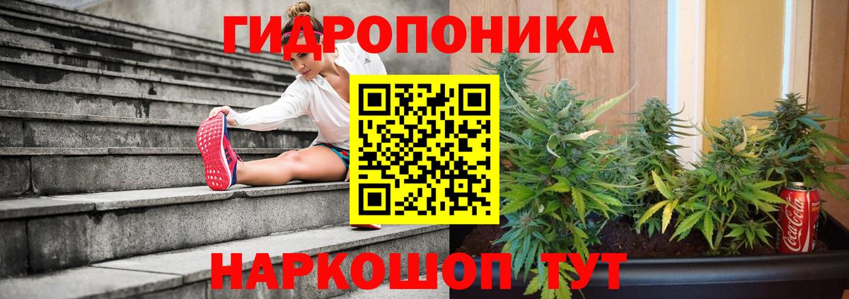 Бошки марихуана индика  Бошки марихуана сатива  Орск  Вход с VPN  Бошки Шишки THC 21%  Бошки Шишки Amnesia 